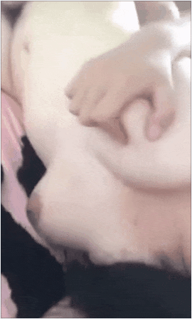 Korean Amateur 2021120701
