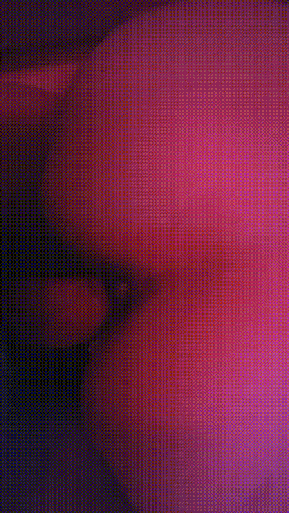 Image kam241124051.gif