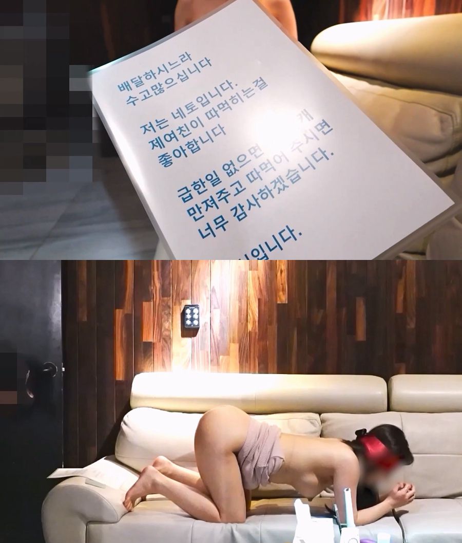 순종적인 암컷 개